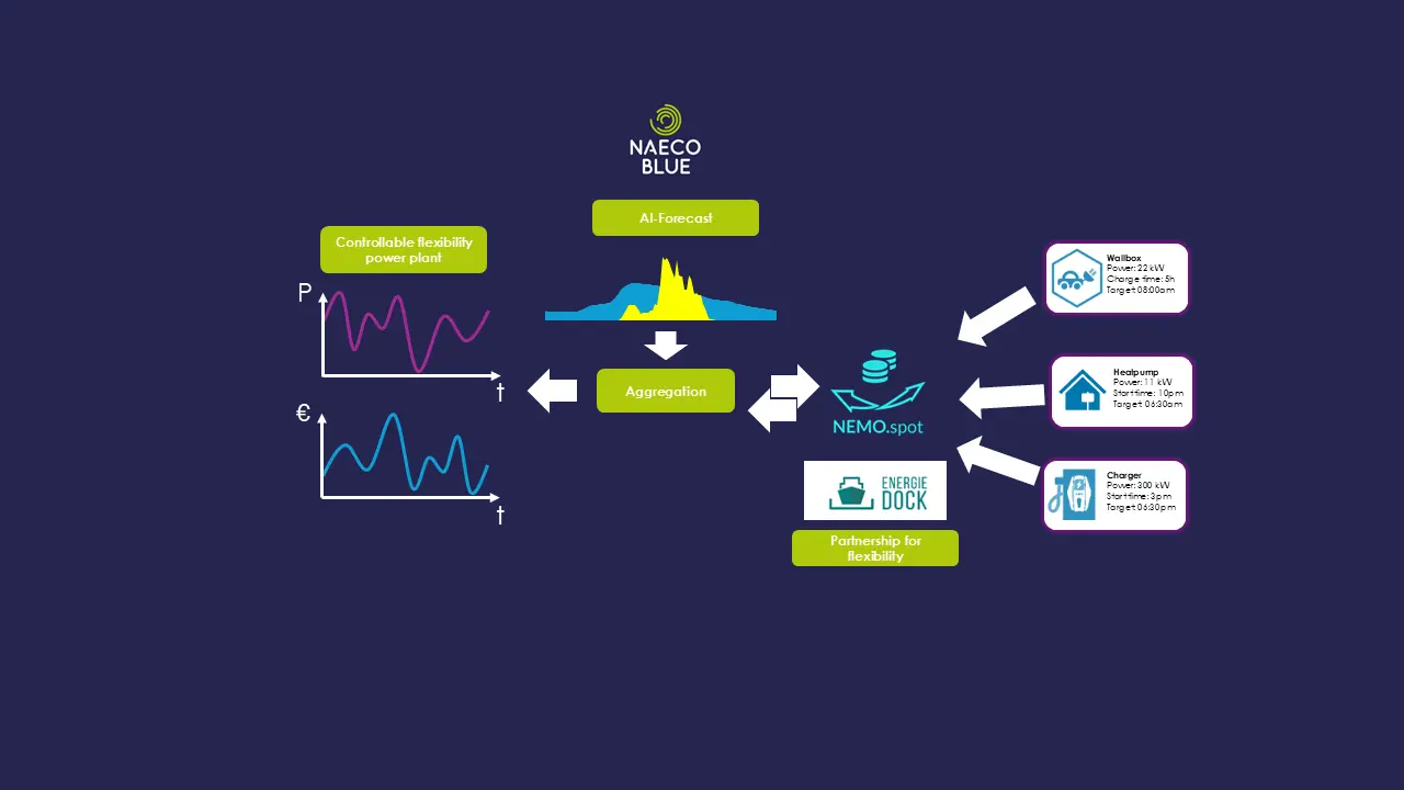 NAECO Blue Flexibility as a Service